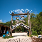 5 ISLAS  CARIBE COLOMBIANO EN LANCHA DEPORTIVA Y PLANCTON  LUMINOSO